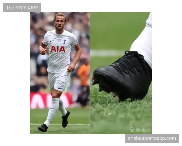 在热刺体系下凯恩与哈里-鲁尼射门分布分化趋势