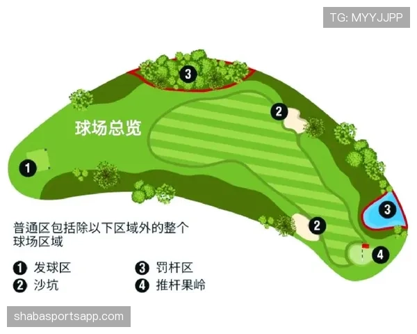 挑战判罚规则是什么？权威解读其判定标准与球场影响